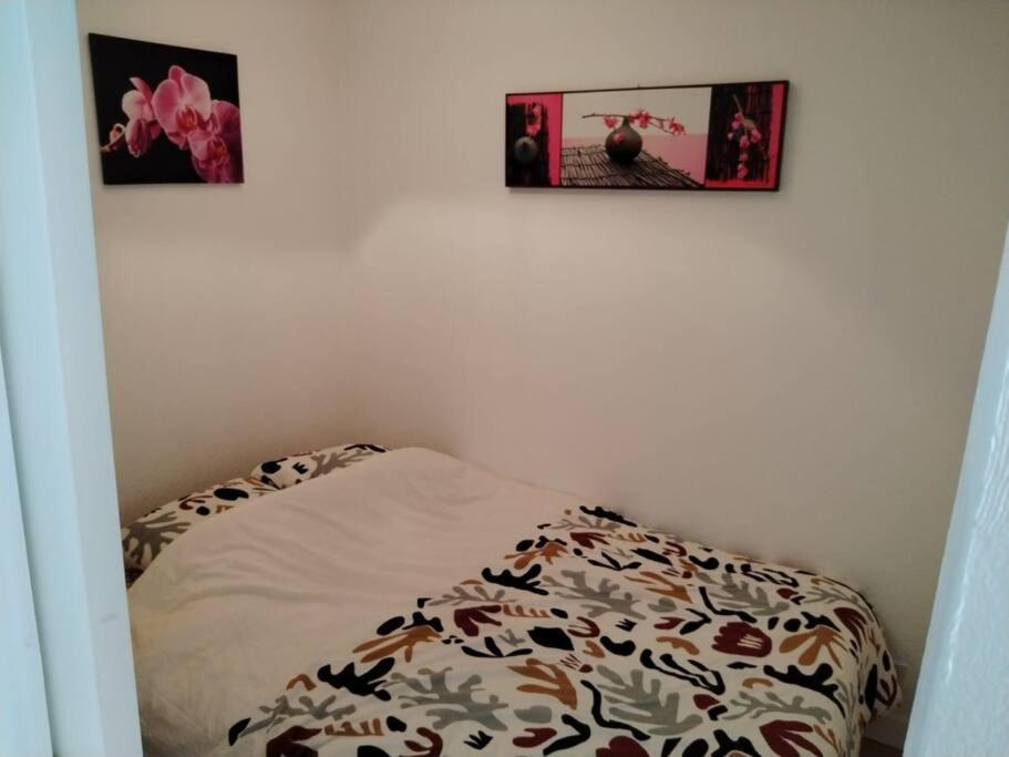 Appartement Vue Mer 4 Personnes Les Bains Extérieur photo